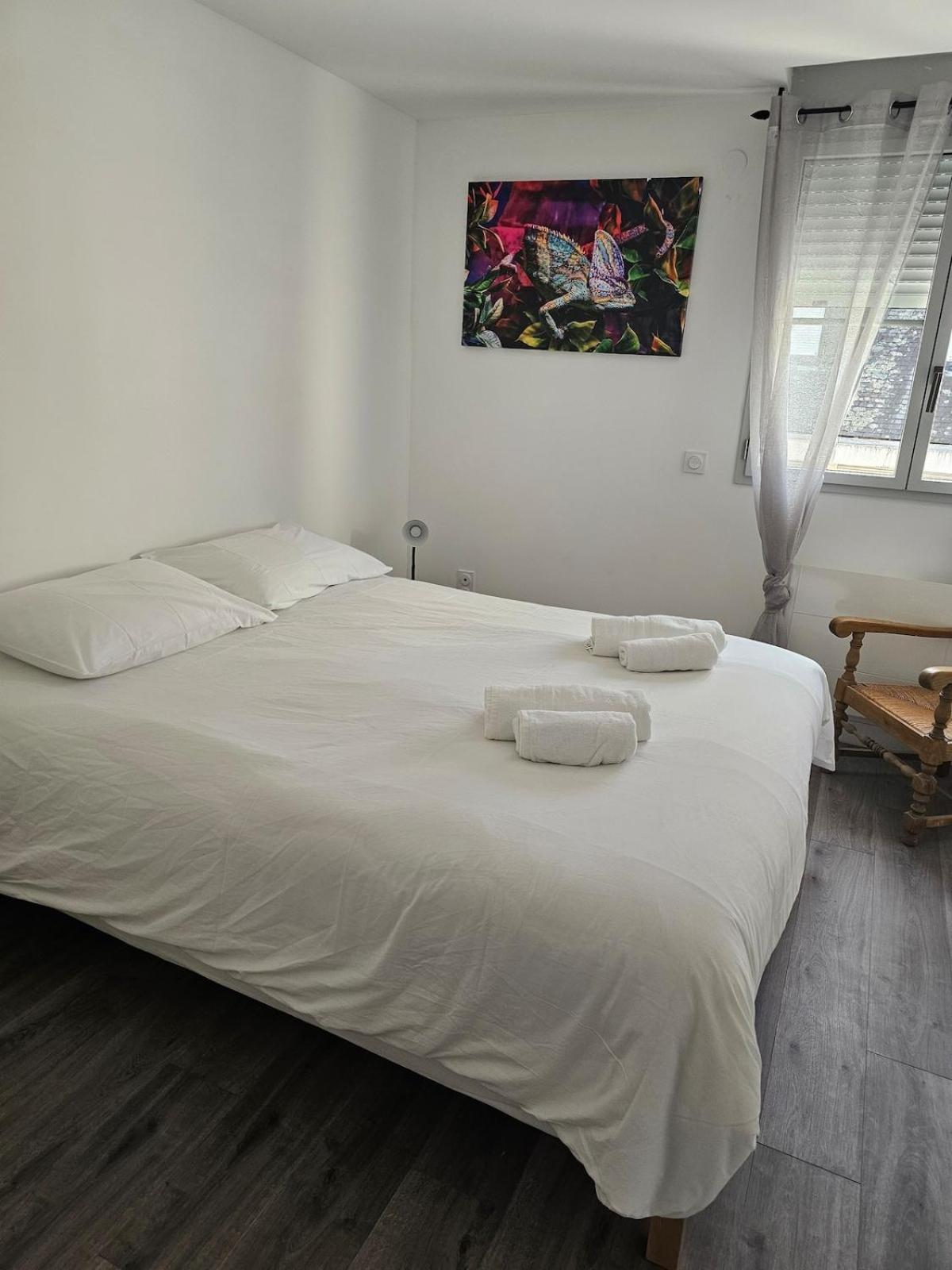 Appartement L'arcade Hyper Centre Lourdes
